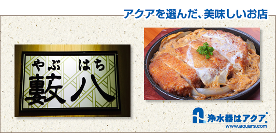 Aquars_yabuhari_日語_r2_c2