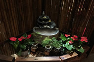 21-IMG_07753