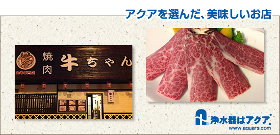 Aquars_牛_日本語_r2_c2