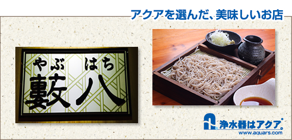 Aquars_yabuhati_日語_r2_c2