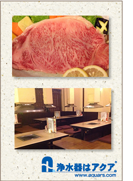 Aquars_牛_中国語_r4_c3