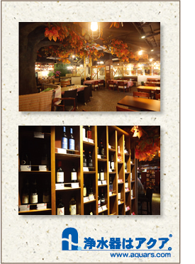 Aquars_BISTORO_02