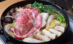 aq_new2011