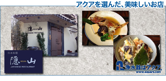insan2_top_02